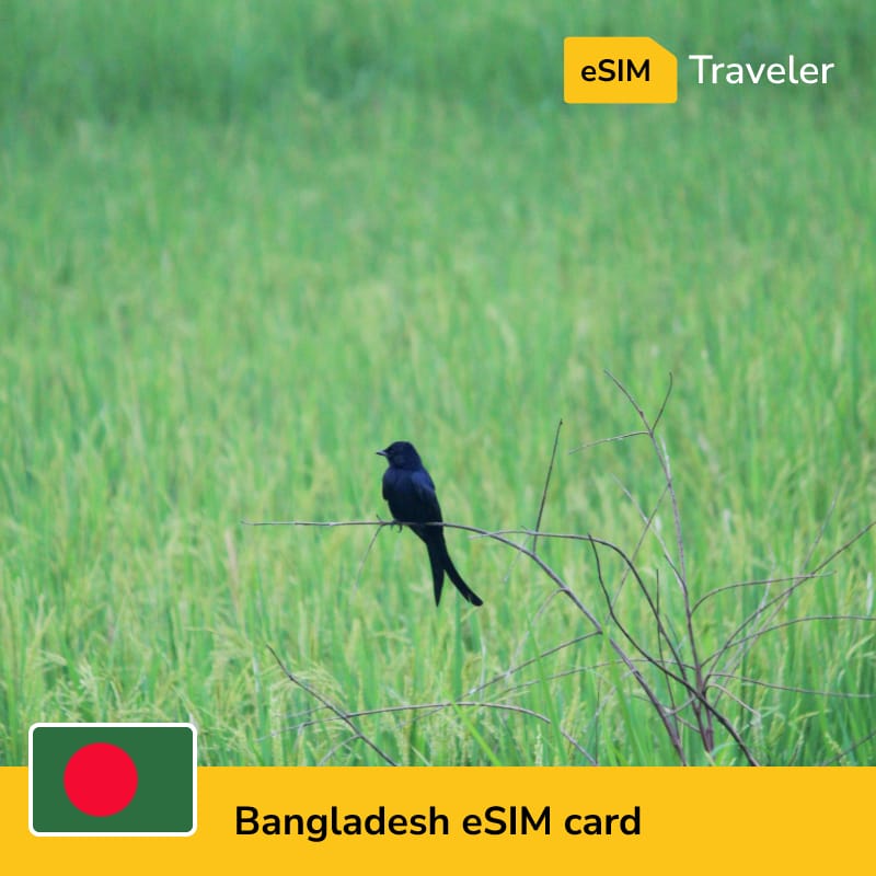 🇧🇩 Bangladesh eSIM