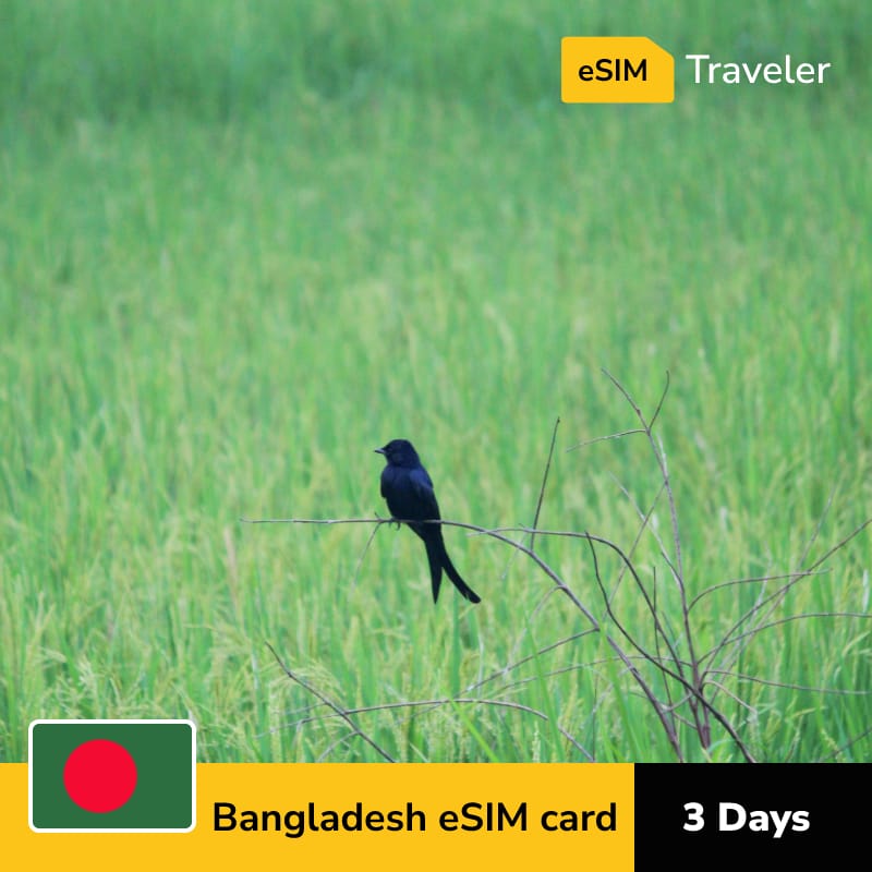 🇧🇩 Bangladesh eSIM card for travel - 3Days | 1-30GB Data Plans-eSIM Traveler