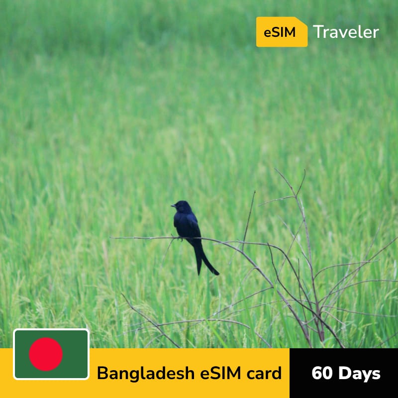 🇧🇩 Bangladesh eSIM card for travel - 60Days | 1-30GB Data Plans-eSIM Traveler